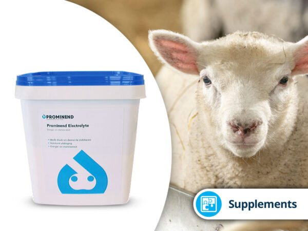 Prominend Electrolyte Lamb